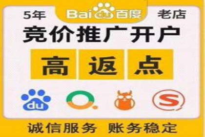 百度竞价公司运营策略：成功案例解析